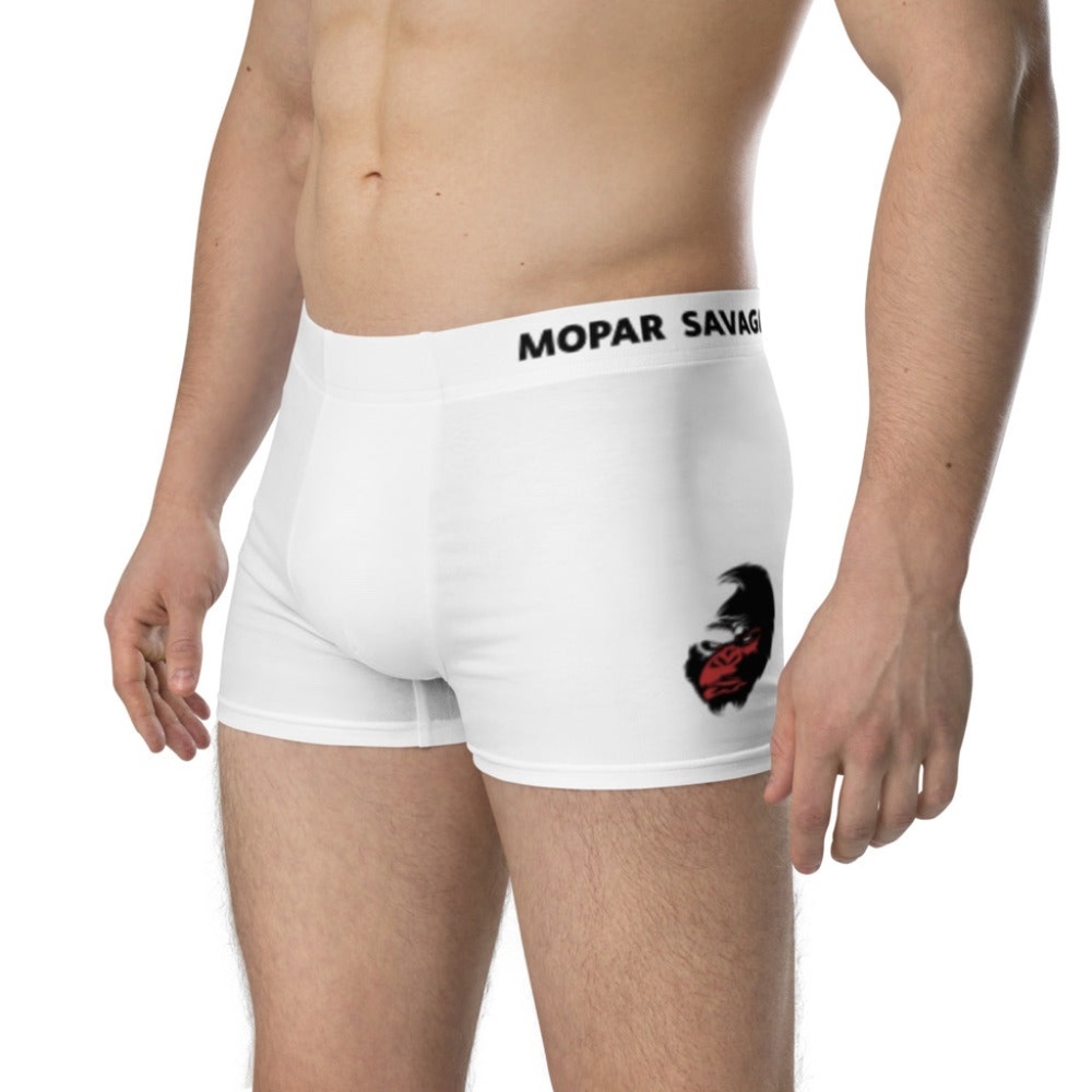 MS Cotton MEN Briefs XL